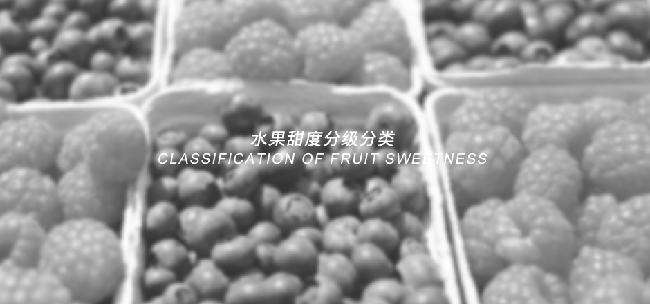測距儀品牌